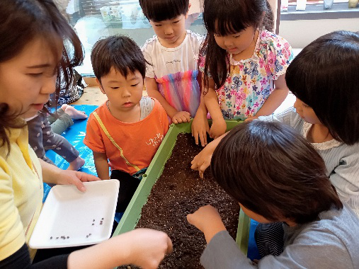 食育の様子